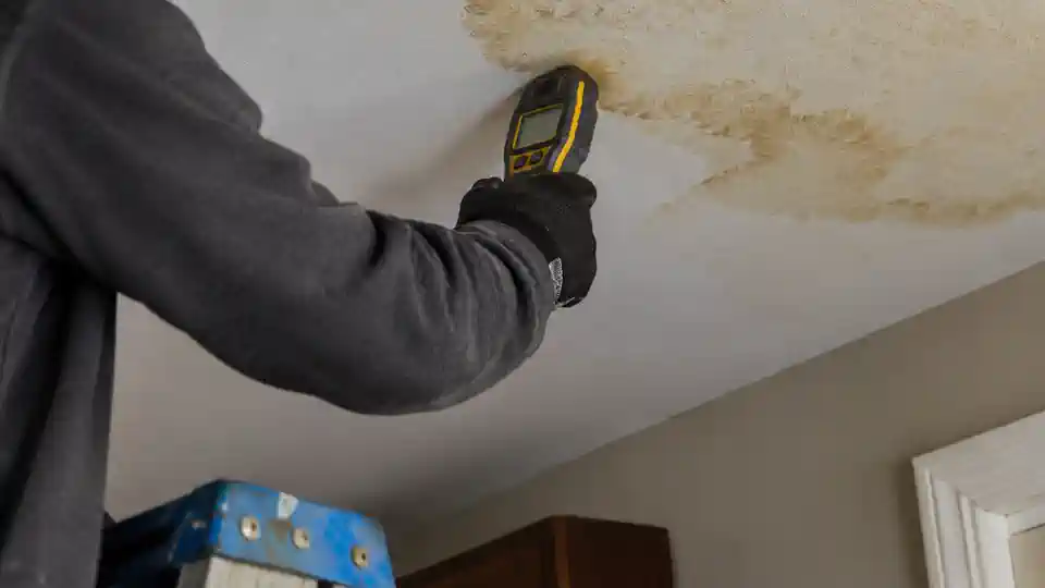Moisture meter on a stained ceiling during leak in wall detection Spanish Fork job